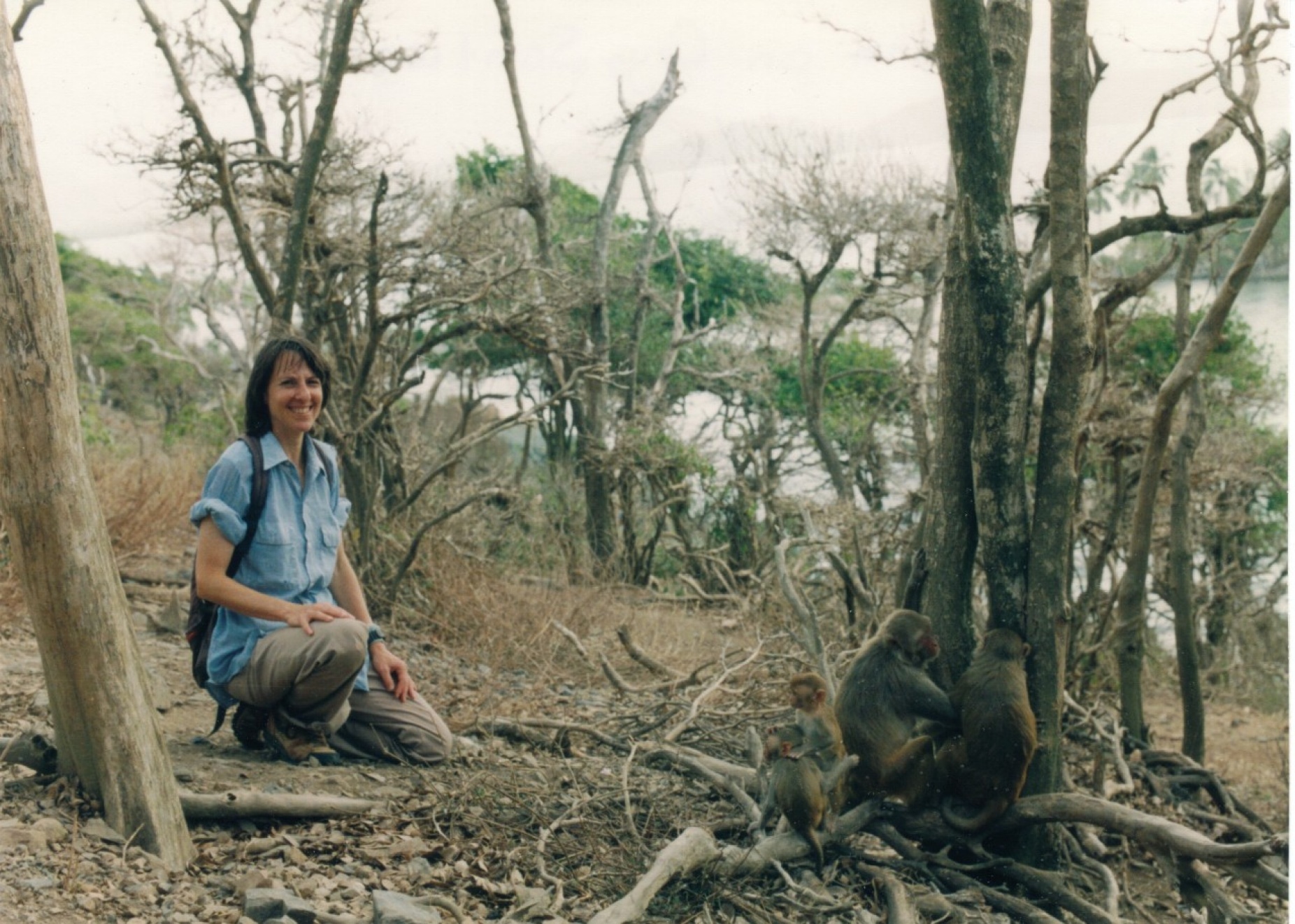 Carol Berman observes some of the rhesus monkey population on Cayo Santiago in 1994. 