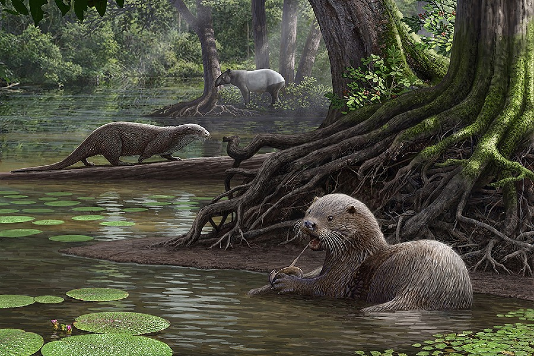Illustration of Siamogale melilutra, a massive wolf-sized otter, in a forest setting. 