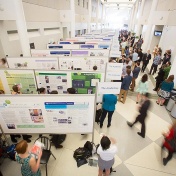 Overview of the student poster presentations at the Celebration of Student Academic Excellence. 