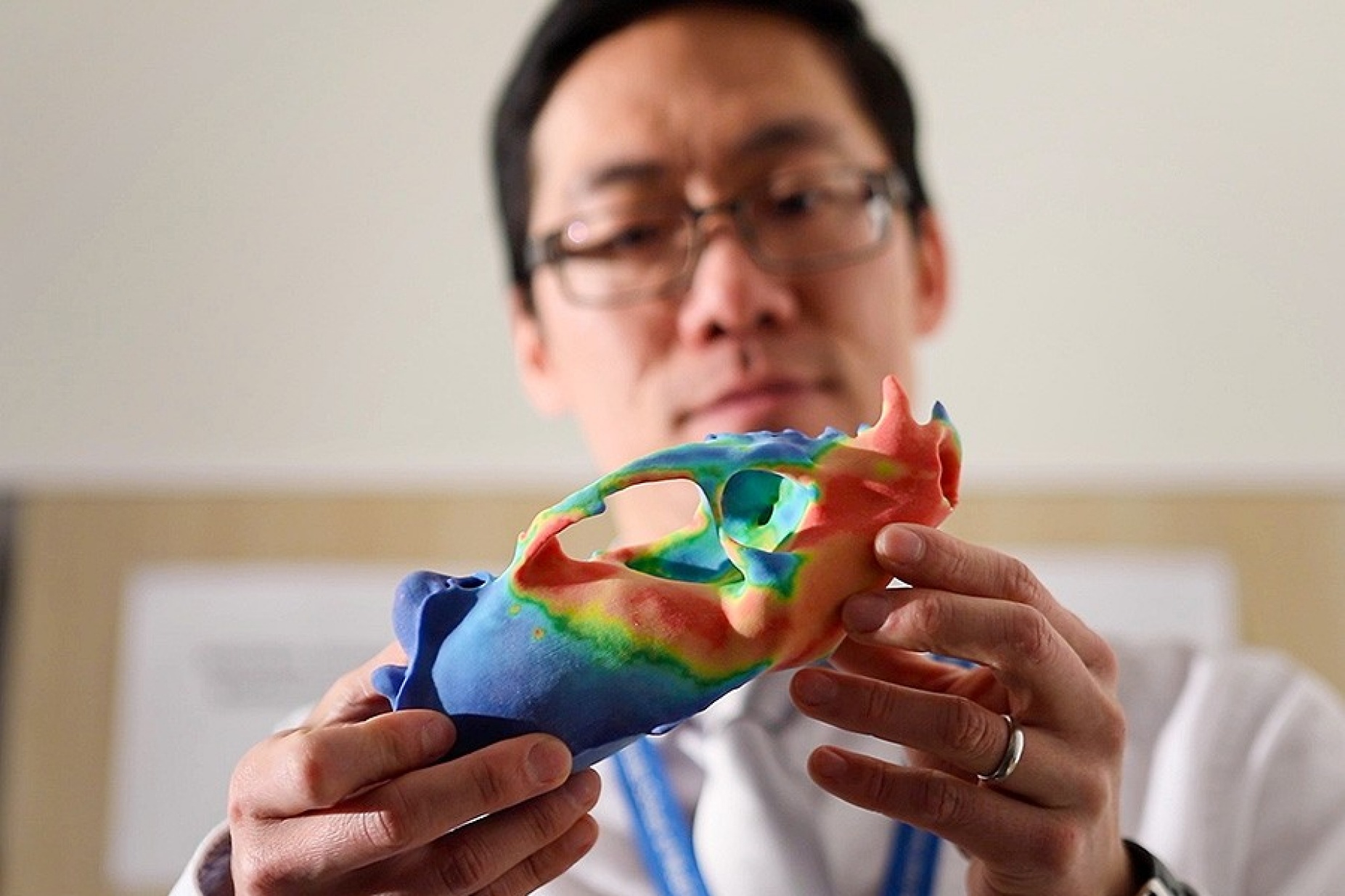 Jack Tseng, Assistant Professor of Pathology and Anatomical Sciences, examines a skulls structure. 