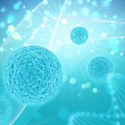 3-D image of virus cells and DNA. 