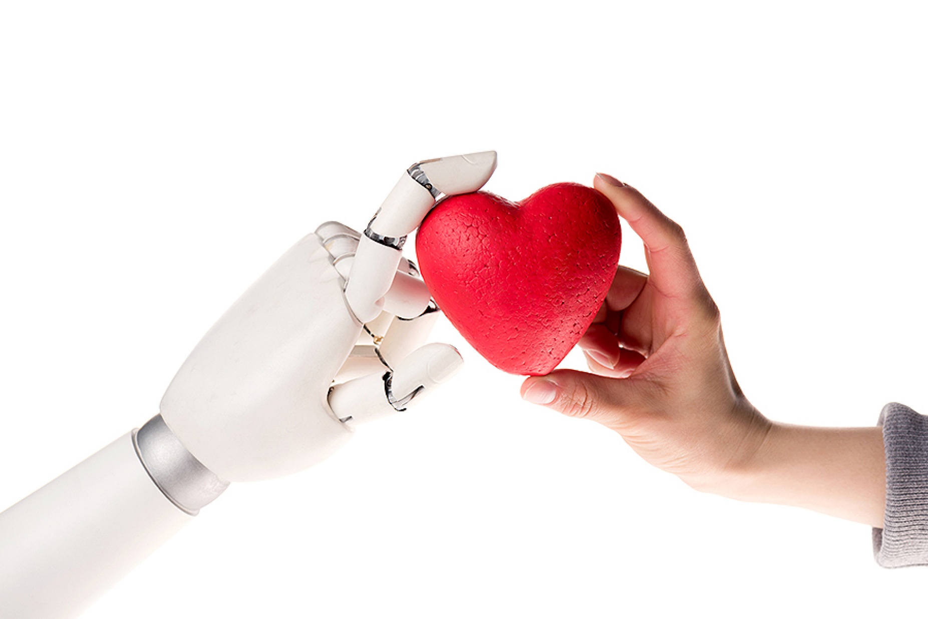 Concept of robot love: human hand and robot hand hold a red heart. 