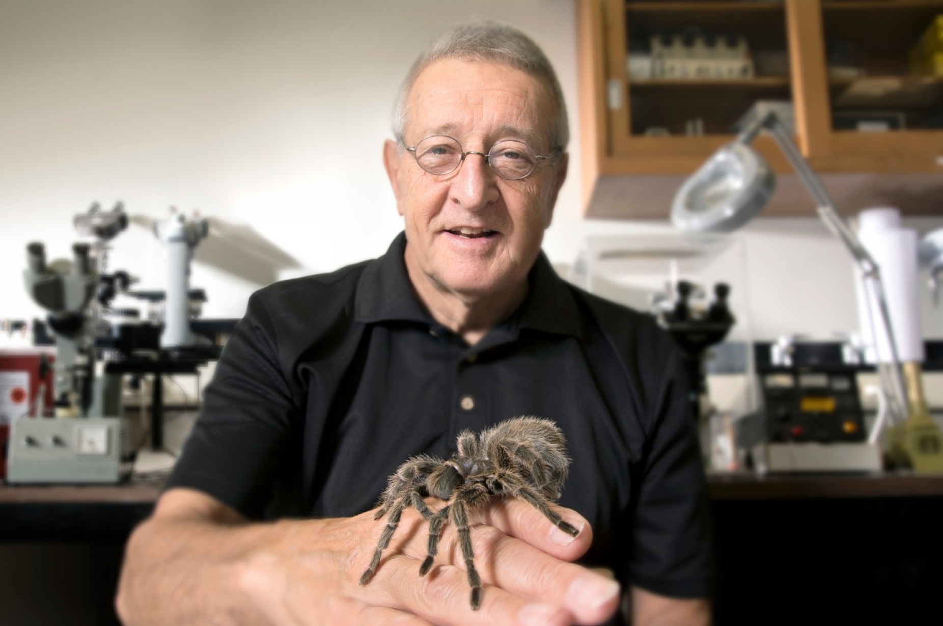 shot of Fred Sachs in the lab with a tarantula crawling on his hand. 