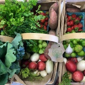A sample of the “drop-off boxes” available through CHQ Local Food’s home delivery system. Product offerings are based on what is available throughout the harvest season. 