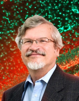 headshot of Richard Gronostajski. 