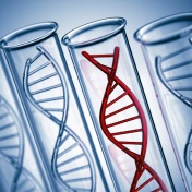DNA helix in test tube. 