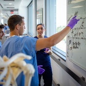 Students use the whiteboard to work out the intricate branching patterns of the brachial plexus, the nerve network of the chest/armpit region. 