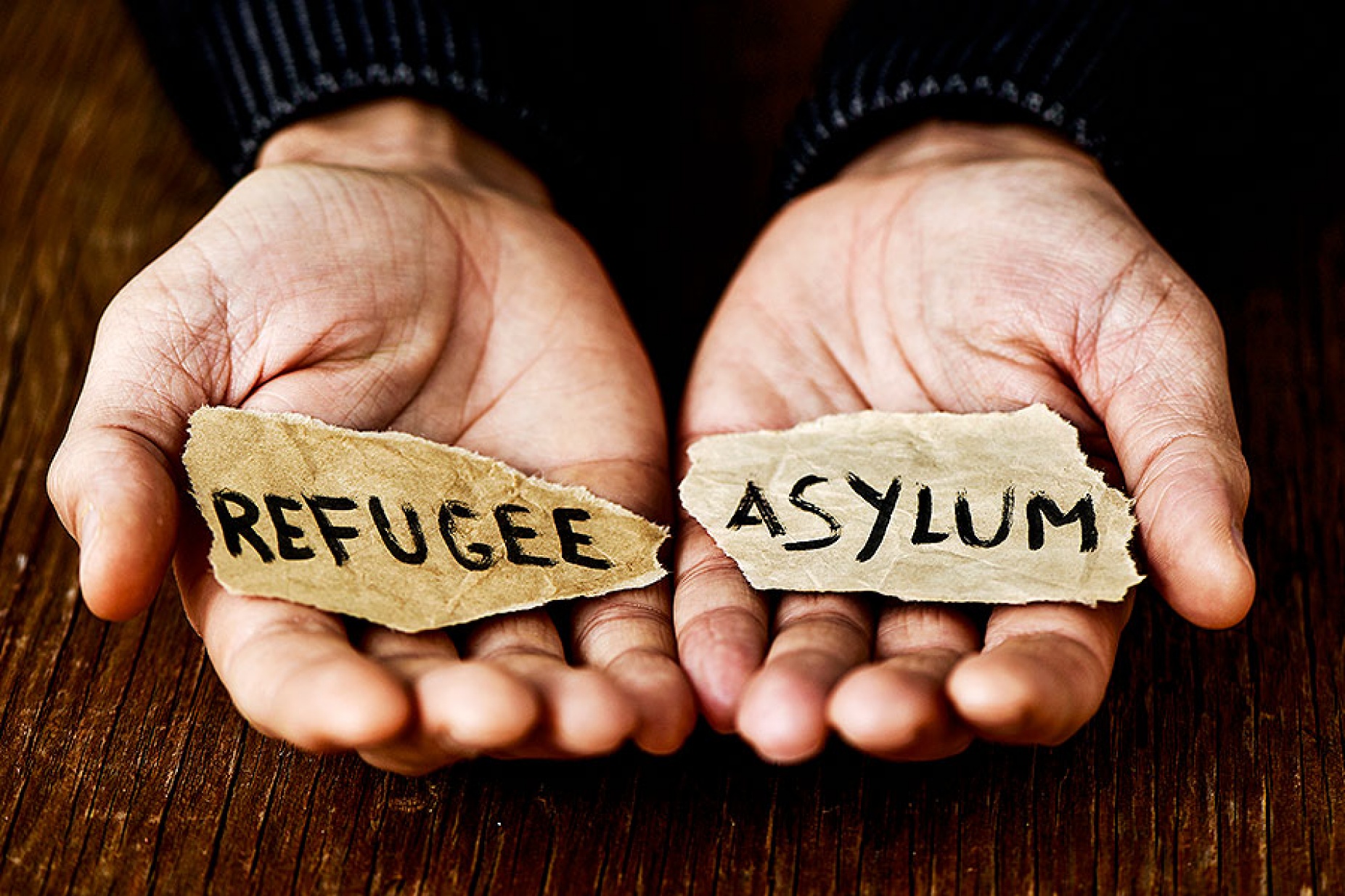 Closeup photo of hands holding scraps of paper reading "Refugee" and Asylum.". 