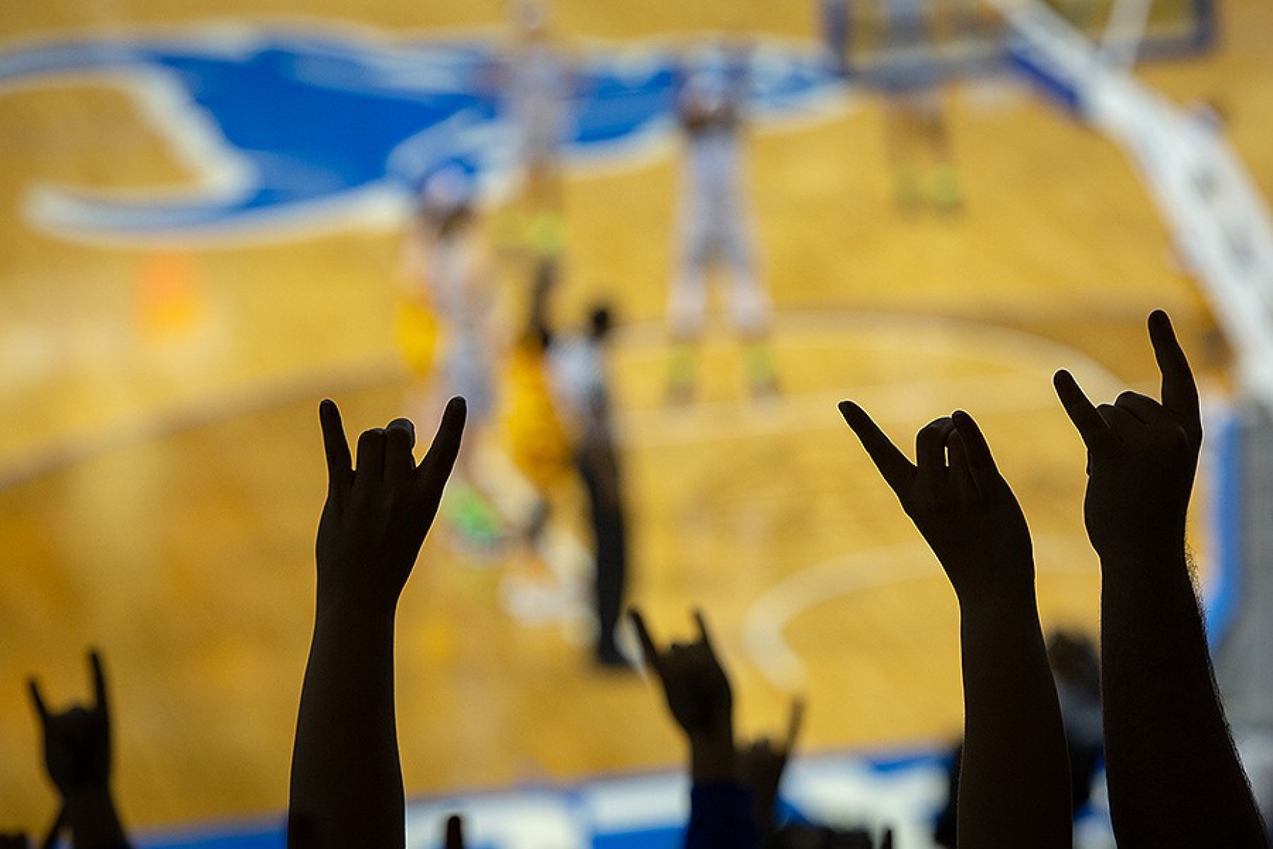Silouhette of fans' hands, making the horns up sign. 