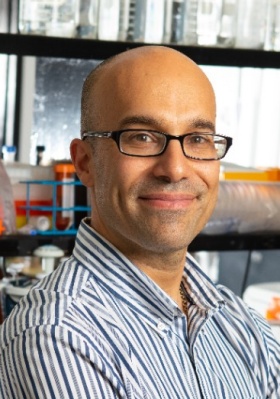 headshot of Omer Gokcumen. 