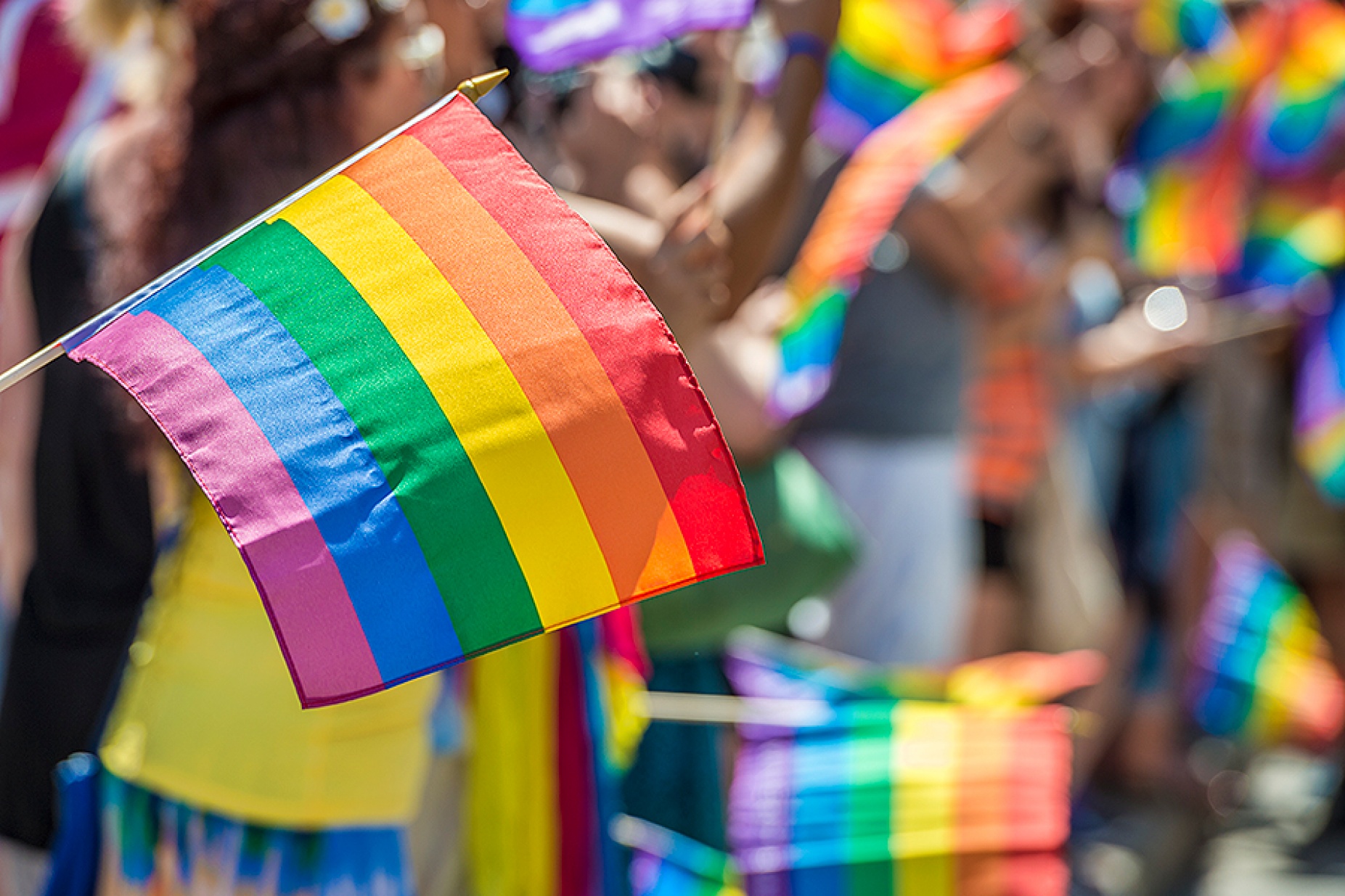 Pride parade spectators carrying Rainbow flags. 