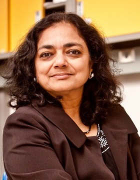 Bina Ramamurthy.