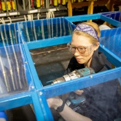 Mechanical engineering student Katherine Metzler works on an exhibit for the Prague Quadrennial of Performance Design and Space (PQ). 