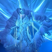 A giant luminescent jellyfish from the "jellyfish station" room that is part of the Ocean Cube exhibit. 