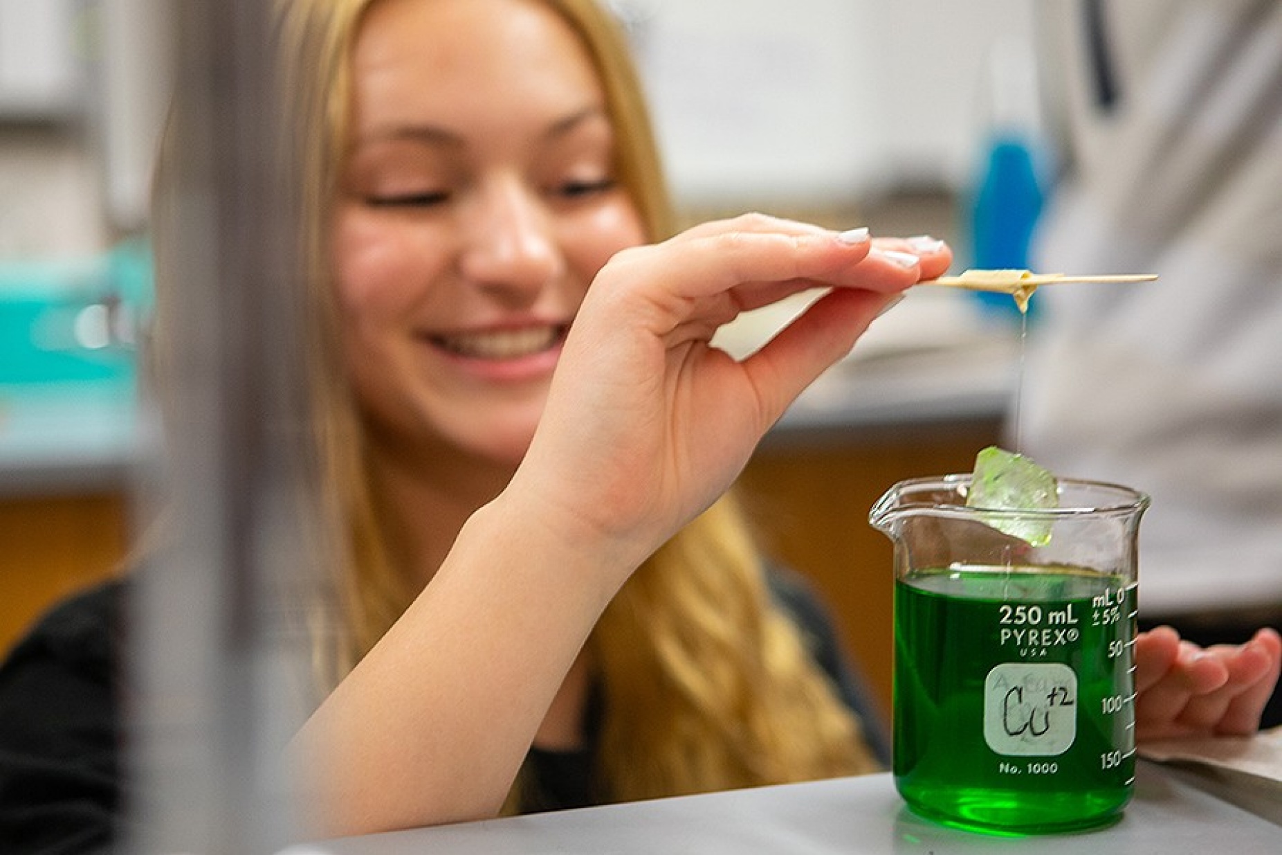 A student looks at the crystal she's growing in a green colored solution. 