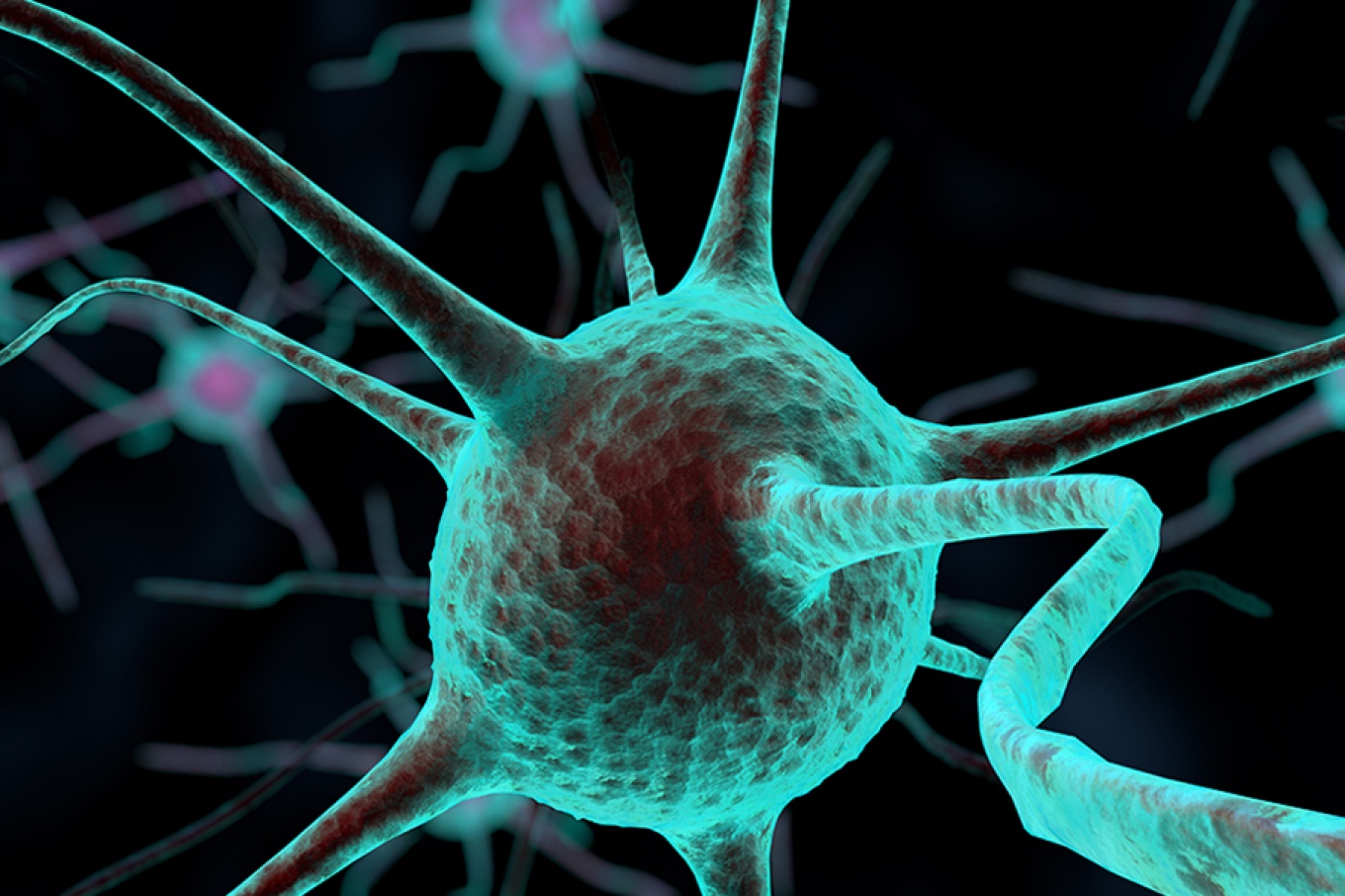 An artist rendering of a nerve cell. 