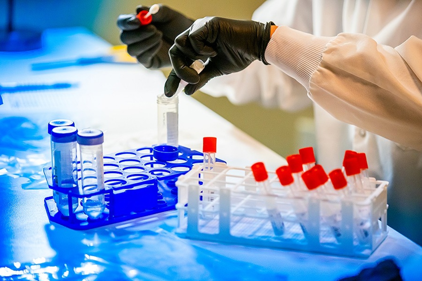 Samples are combined into one testing pool. 