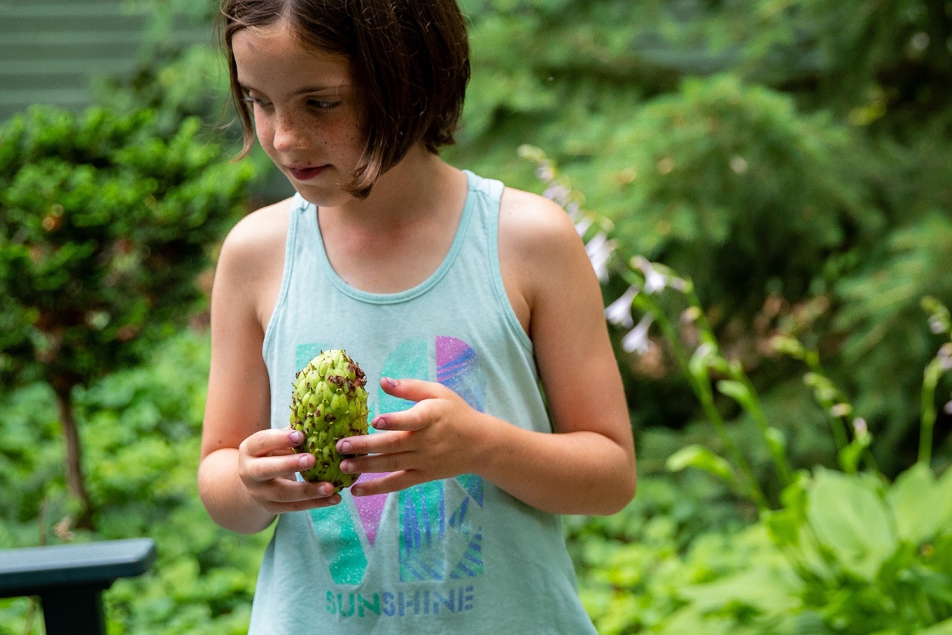 Zoom image: Rose encourages a young visitor to take a seed pod from the umbrella magnolia tree. Previous visitors have reported success in planting the seeds to grow their own trees. 
