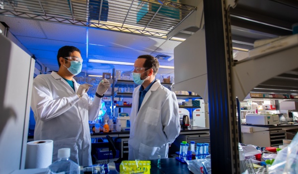 Zoom image: Moustafa Mabrouk (left) and Jonathan Lovell in the lab. Photo: Douglas Levere 