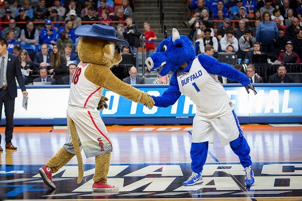 Zoom image: Victor shakes hands with Wilber the Wildcat before a dance-off at the first round game of the 2018 NCAA Tournament in Boise. Photo: Meredith Forrest Kulwicki 