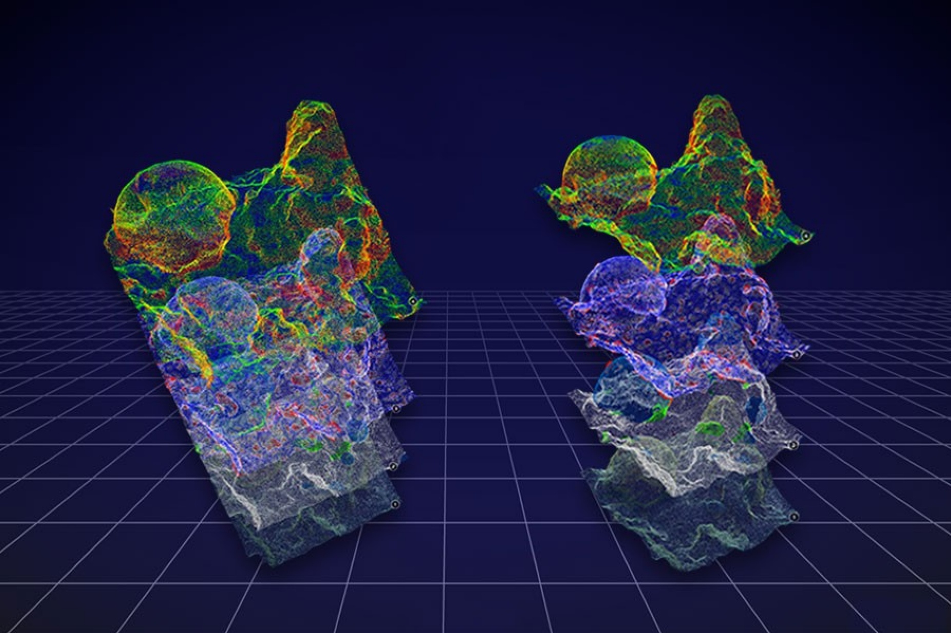 Zoom image: Layered, 3D models of a small section of coral reef. Image: Ángela Martínez Quintana 