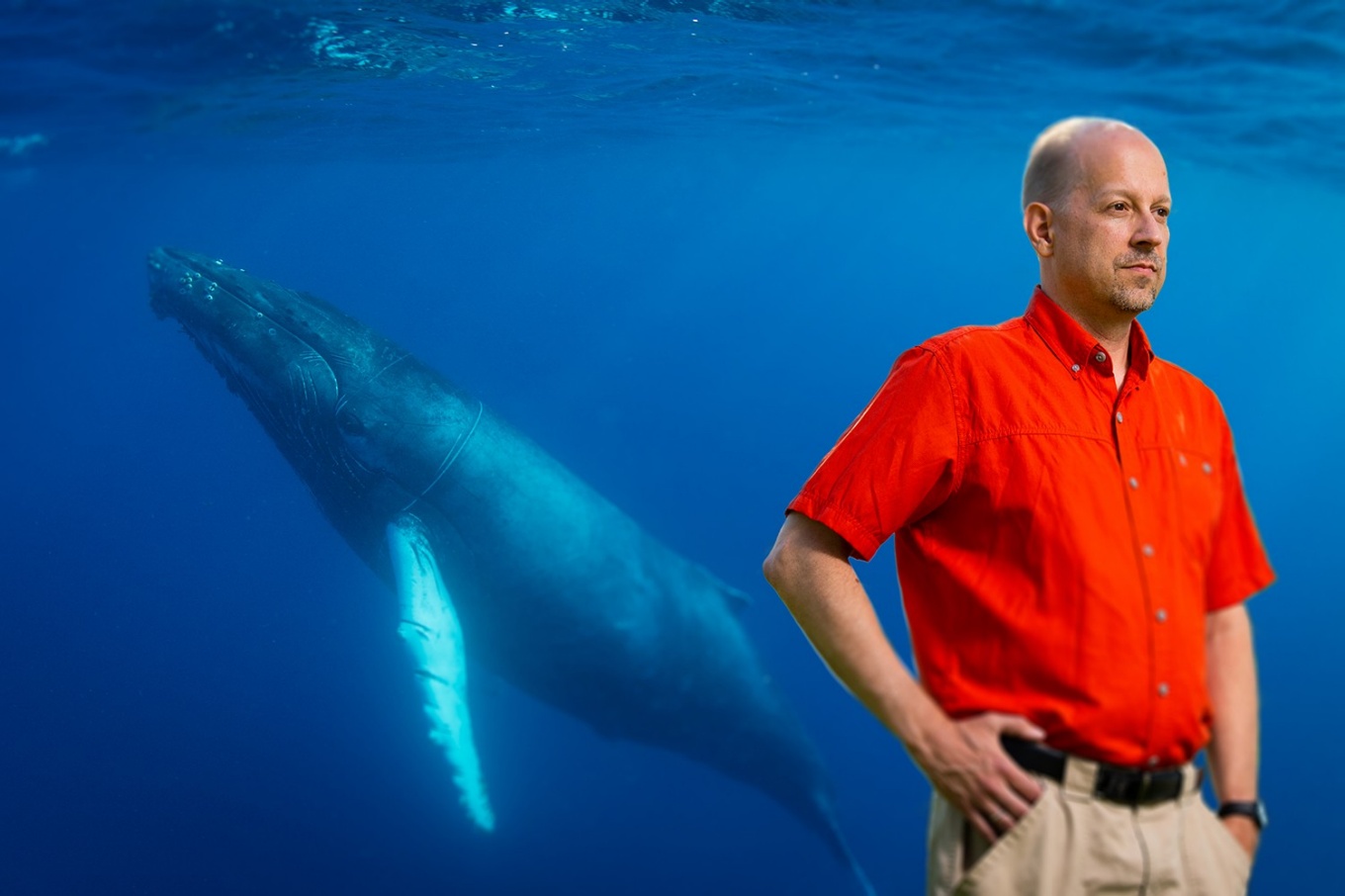 Eduardo Mercado with image of humpback whale. 