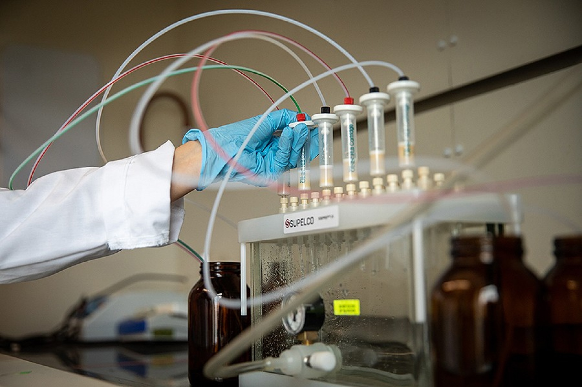 A gloved hand reaching towards several test tubes. 
