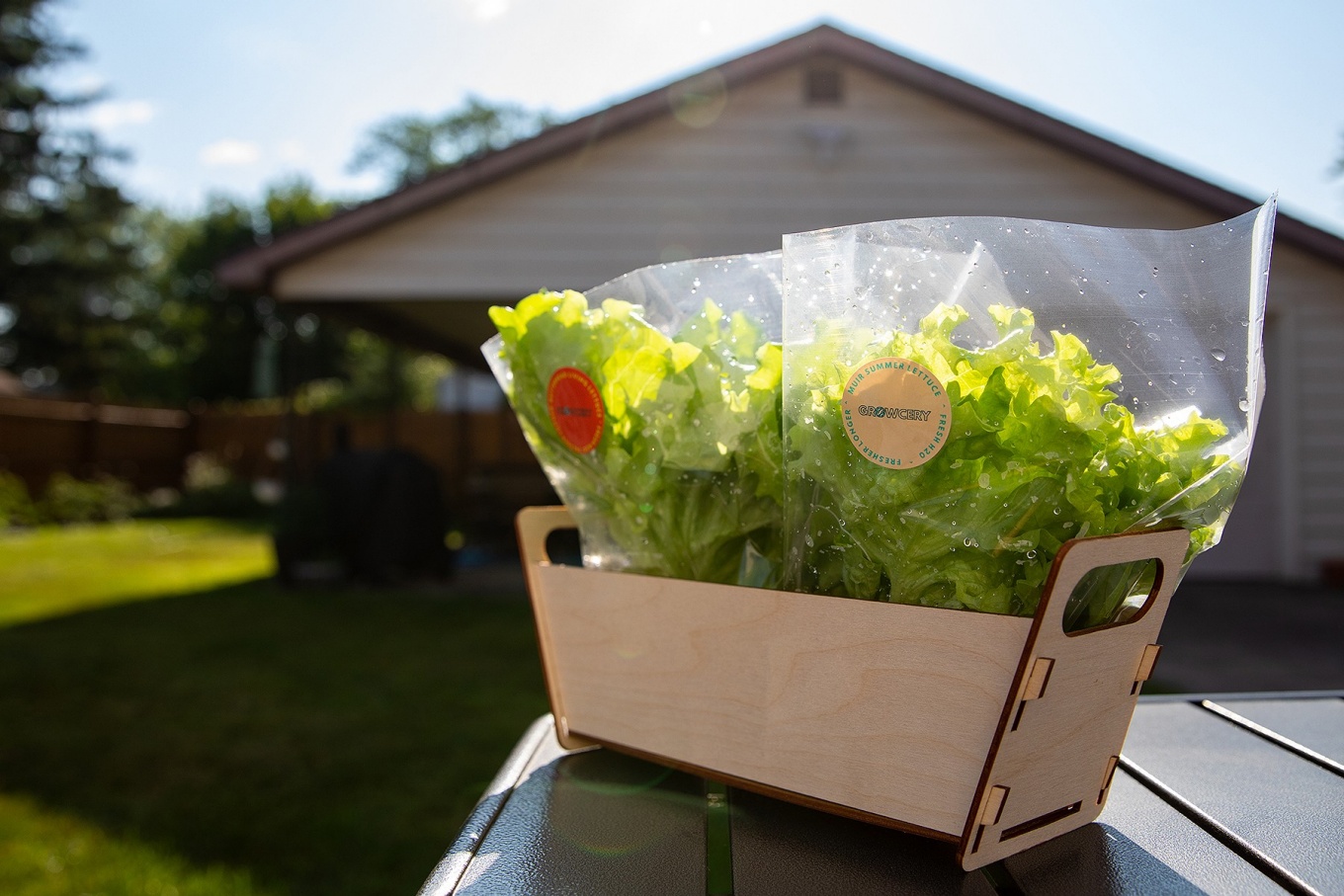 Zoom image: Two heads of lettuce are packed in the wooden box designed by Hubbard. She was inspired to create packaging that would take up less space in the refrigerator. 