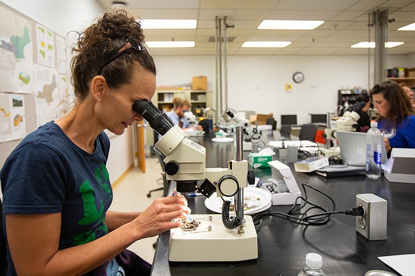 Zoom image: An EarthEd teacher dissects owl pellets. Photo: Meredith Forrest Kulwicki 