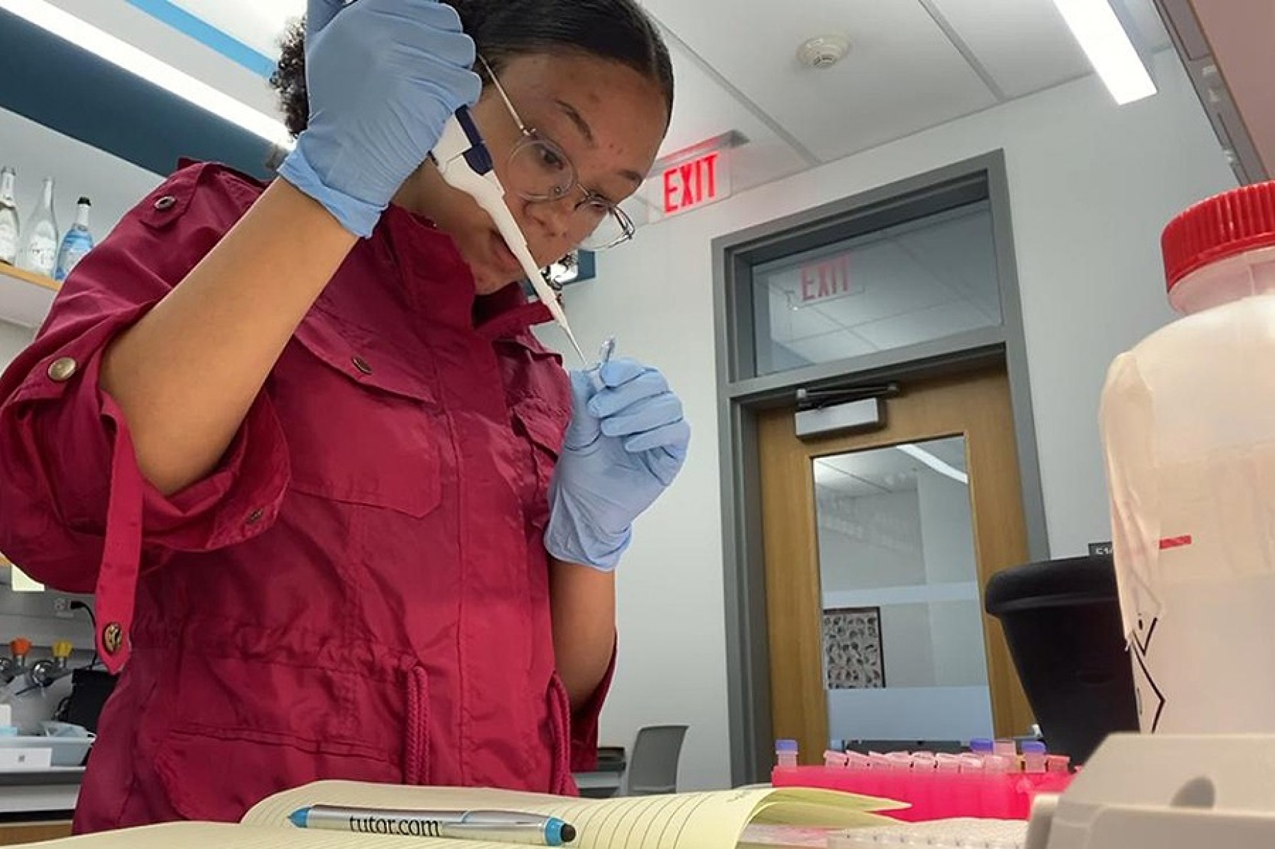 Undergraduate researcher Sophia Jacobs working in Omer Gokcumen's lab. 