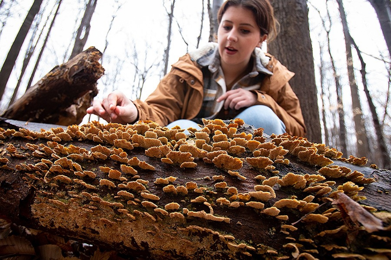 Zoom image: Taylor Robers explores the Letchworth teaching forest, stopping to examine fungi growth on a fallen tree. Photo: Meredith Forrest Kulwicki 