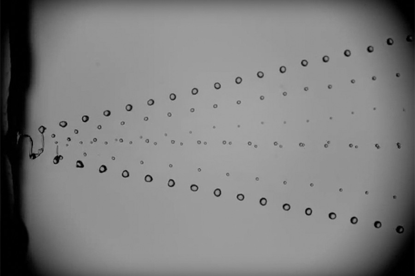 A black and white image showing aerosols fan out in unison from a source on the left. 