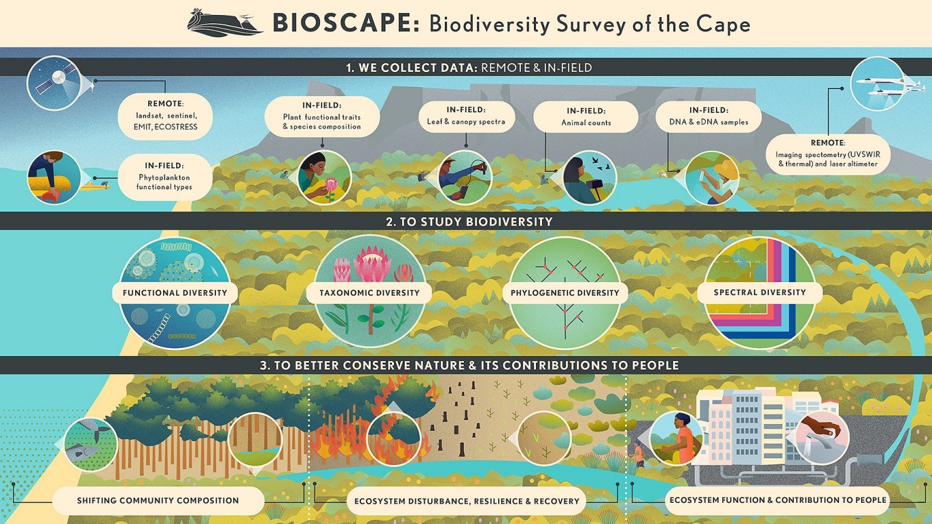 Zoom image: The BioSCape project is an important step toward monitoring ecosystems across the globe from space. 