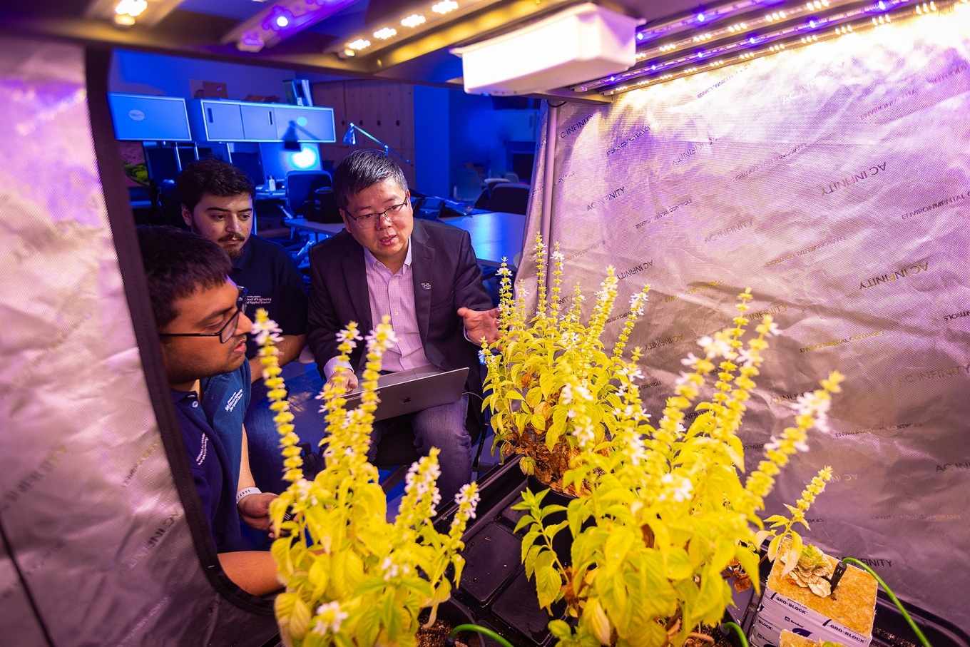Three people looking into a small greenhouse where plants are growing. 