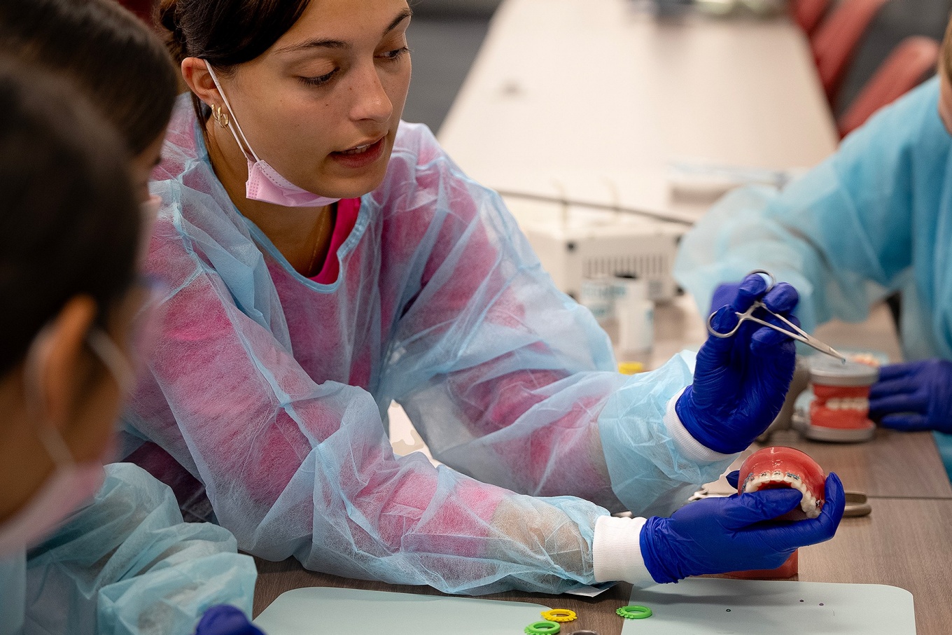 Student dressed in gown and gloves works with a set of model teeth.
