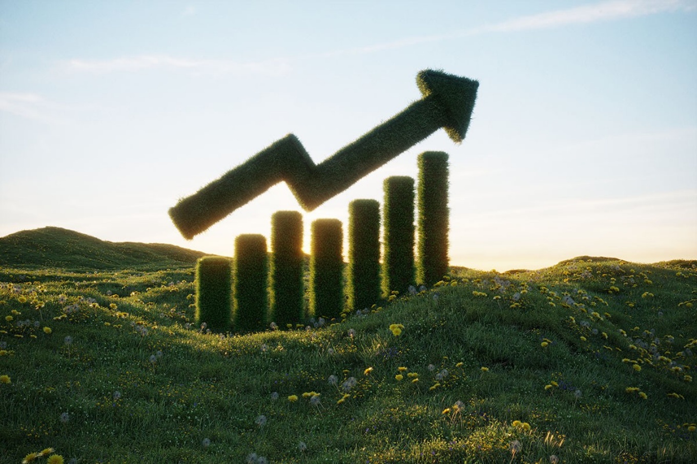 green hedges represent ncrease in stock prices. 
