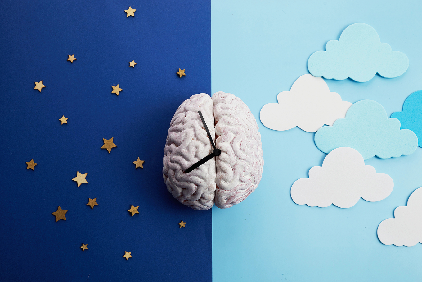 Concept of sleep and brain function. 
