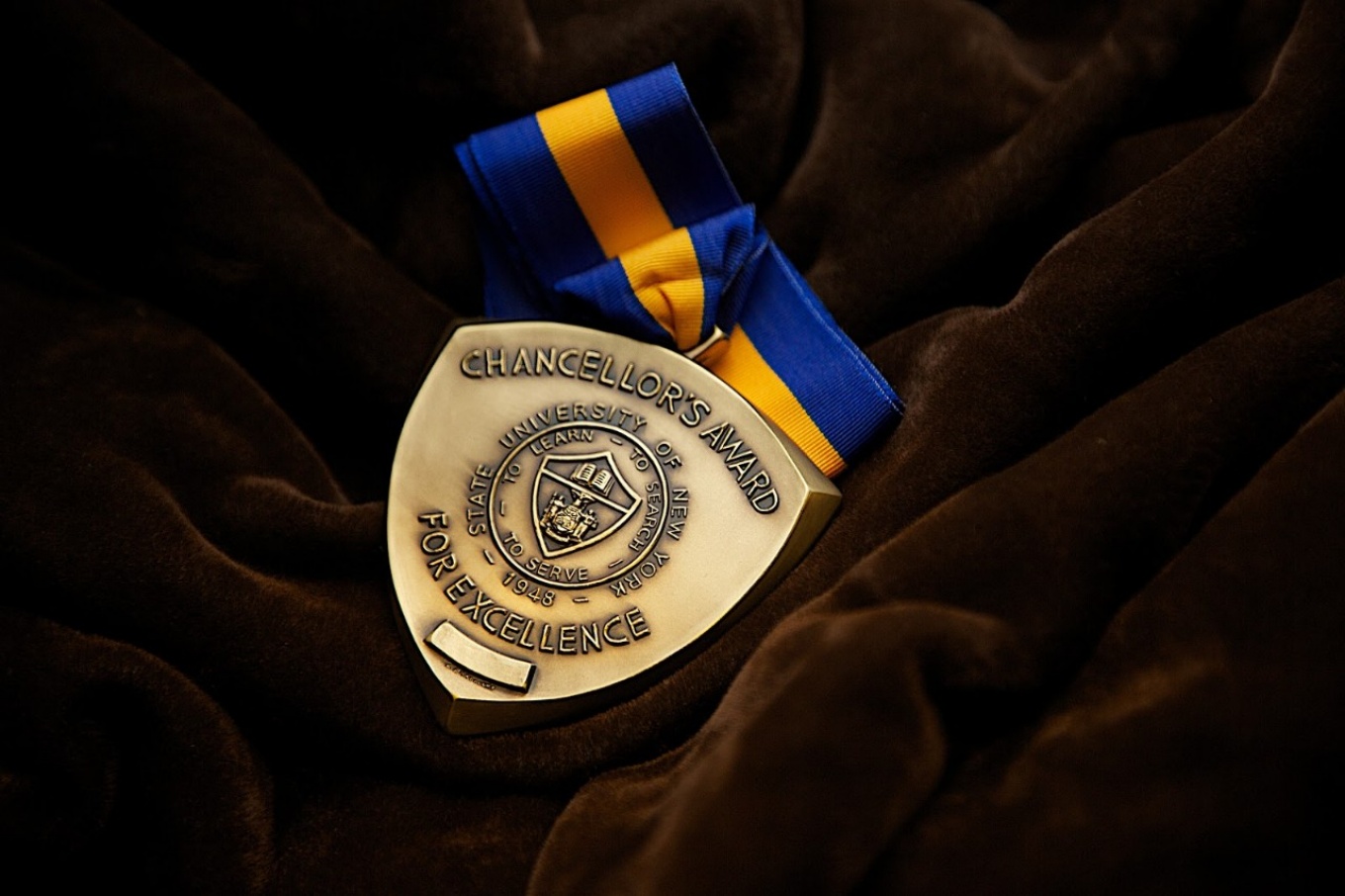The SUNY Chancellor's Award for Excellence medal. 