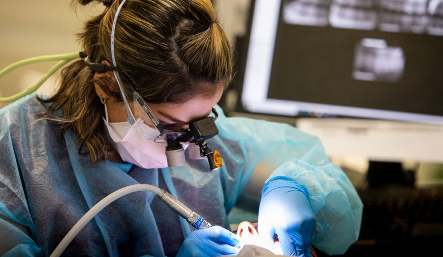 Person examines another person's mouth. 