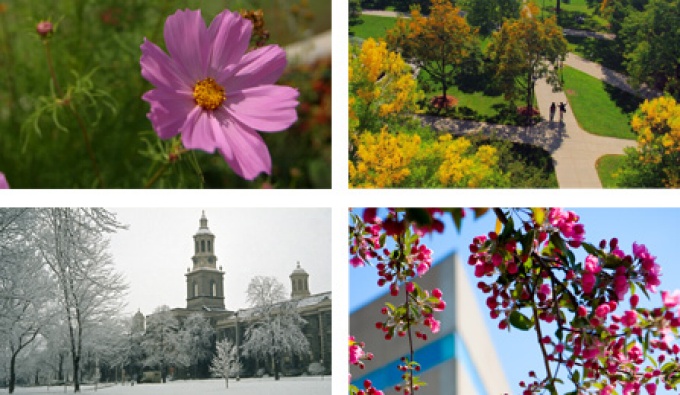 Buffalo's four seasons. 